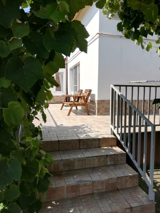 Vila Ekooos Braşov Exterior foto